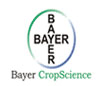Bayer